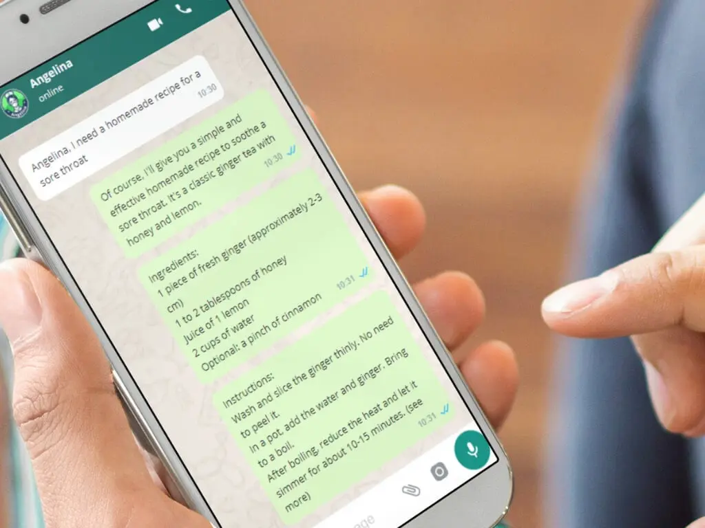 chatting with Angelina on WhatsApp